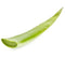 Fresh Aloe vera