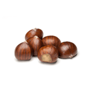 Fresh Chest Nuts Italy