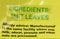 The Nutrition Facts of Swad Mint leaves pudina 