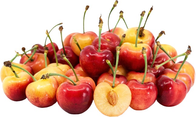 Sweet White Cherries Fresh Farms