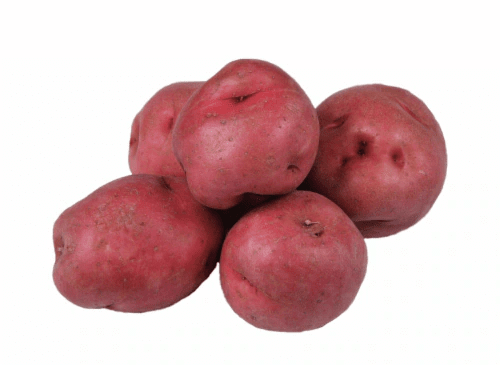Red Potato Fresh Farms