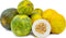 Fresh Dosekai Fresh Farms