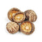 Shiitake Fresh Farms