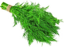 Dill Fresh Farms