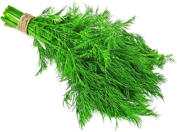 Dill Fresh Farms