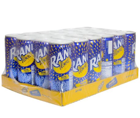Rani Float Pulp Juice Mango MirchiMasalay