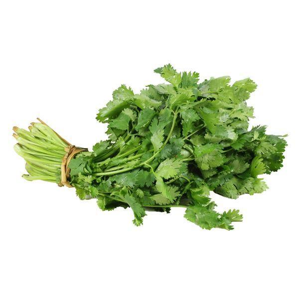 Cilantro (3 bundles) Fresh Farms