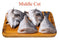 The Nutrition Facts of Katla Fish- Big (سمك كاتلا) কাতলা 