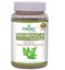 Vedic Moringa Powder MirchiMasalay