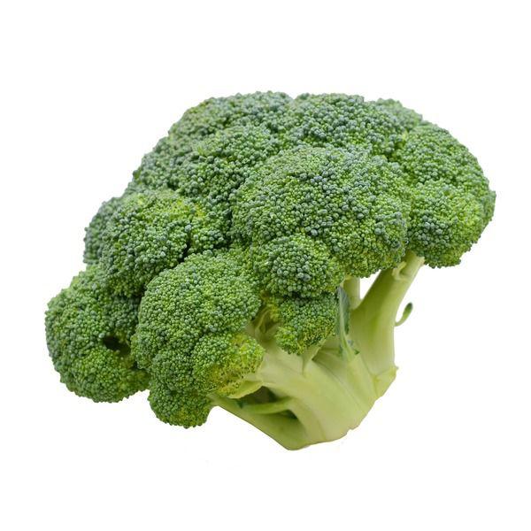 Broccoli Crown Fresh Farms