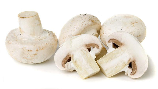 White Mushrooms Fresh Farms