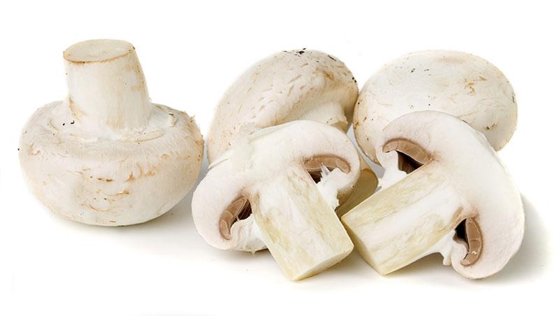 White Mushrooms Fresh Farms