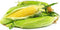 Yellow Corn Fresh Farms