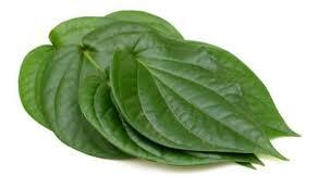 Pan Leaves Fresh Farms