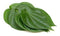 Pan Leaves Fresh Farms