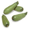 Lita Squash Fresh Farms