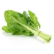 Green Swiss Fresh Farms