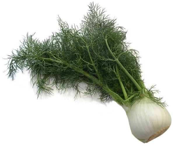 Fresh Anise Fresh Farms