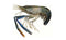 Freshwater king Prawns (جمبري) MirchiMasalay