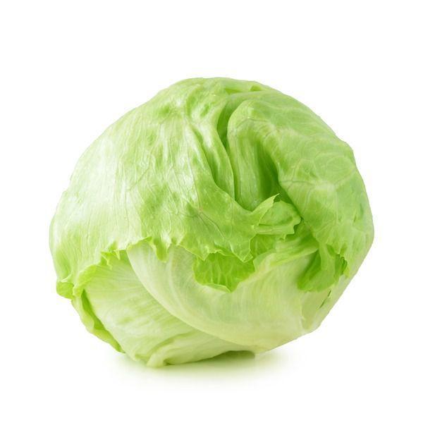 Iceberg Lettuce Fresh Farms