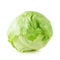 Iceberg Lettuce Fresh Farms