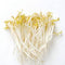Bean Sprouts Fresh Farms