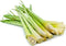 Lemon Grass Fresh Farms