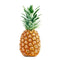 Organic Pineapple Whole Foods