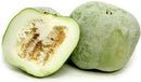 White Pumpkin (Winter Melon) Fresh Farms